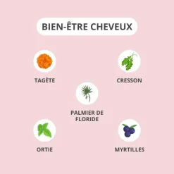 Cheveux Activa bien-être - boite de 30 gélules