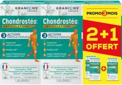 Chrondrosteo Programme de 3 mois Granions