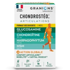 Chrondrosteo Programme de 3 mois Granions