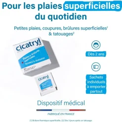 Cicatryl DM crème Pierre Fabre – 10 sachets de 2 g