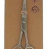 Ciseaux coiffeur haute précision Sanodiane - 1 paire de ciseaux