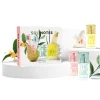 Coffret découverte Osmanthus, Thé Blanc, Vanille Solinotes - coffret de 3 produits