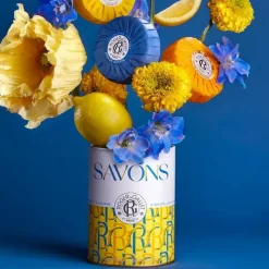 Coffret savons bienfaisants Cédrat, Bois d'orange, Bois de santal Roger & Gallet - boite de 3 savons de 100g