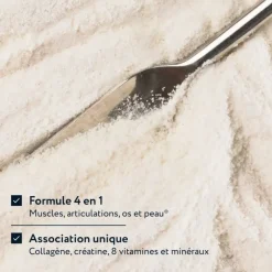 Collagène Créatine goût thé pêche Lescuyer - pot de 200g
