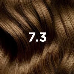 Coloration permanente 7.3 blond doré Phyto - lait révélateur et crème colorante de 50ml