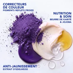 Color Gloss masque raviveur de couleur & soin Phyto Paris