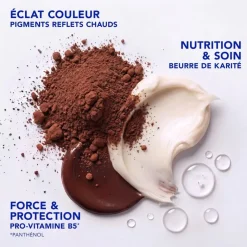 Color Gloss masque raviveur de couleur & soin Phyto Paris