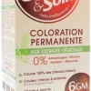 Color & Soin Coloration permanente aux extraits végétaux blond foncé cannelle 6GM Les 3 Chênes - kit de 4 produits