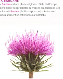 Crème apaisante intime Saforelle