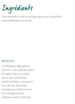 Crème de jour à la mangue nutrition cheveux secs Klorane - tube de 125 ml