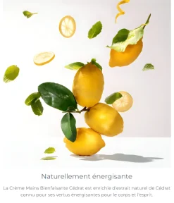 Crème mains Cédrat Roger & Gallet - tube de 30 ml