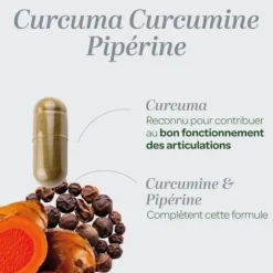 Curcuma Pipérine Bio Super Diet - pot de 120 gélules