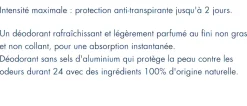Day control 24H natural protection déodorant Biotherm homme