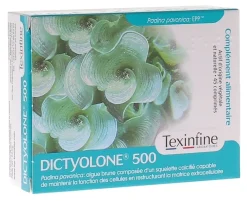 Dictyolone 500 Icp Texinfine - boite de 45 comprimés