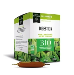 Digestion ventre plat bio Dayang - boîte de 20 ampoules