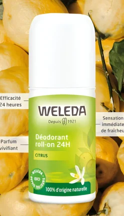 Déodorant au Citrus Roll-on 24h Weleda - roll-on de 50 ml
