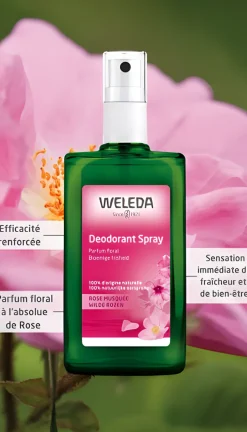 Déodorant à la Rose Musquée Weleda - lot de 2 sprays de 100 ml