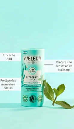 Déodorant stick Eucalyptus menthe poivrée Weleda
