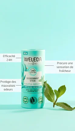 Déodorant stick Eucalyptus menthe poivrée Weleda