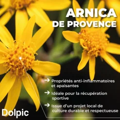Dolpic Roll-on cryo Pharm'Up