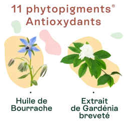 Doriance autobronzant et protection Naturactive - boîte de 30 capsules