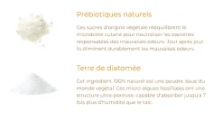 Déo stick absorbant 48h Alvadiem - stick de 50g