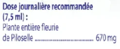 Drainage Piloselle Boiron - flacon de 60ml