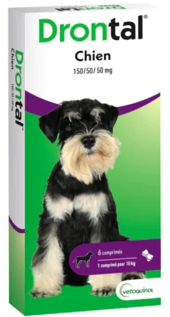 Drontal chien vermifuge Vetoquinol