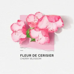 Eau de parfum Fleur de cerisier Solinotes