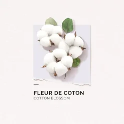 Eau de parfum Fleur de coton Solinotes