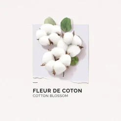 Eau de parfum Fleur de coton Solinotes
