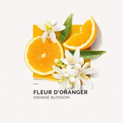 Eau de parfum Fleur d'Oranger Solinotes