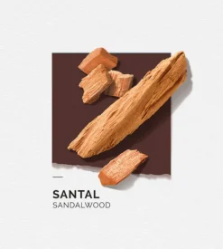Eau de parfum Santal Solinotes - spray de 15ml