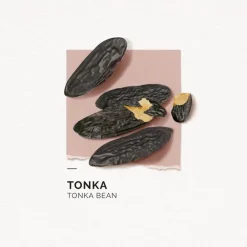 Eau de parfum Tonka Solinotes