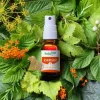 Energem coup de boost bio HerbalGem - spray de 15ml