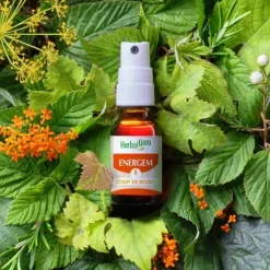 Energem coup de boost bio HerbalGem - spray de 15ml