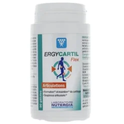 Ergycartil Flex Nutergia - 90 gélules