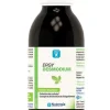 Ergydesmodium Nutergia - flacon de 250 ml