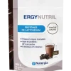 Ergynutril Protéines de lactosérum cacao Nutergia - sachet de 300g