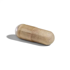 Ester C Plus Vitamine C 500 mg Solgar - pot de 50 gélules