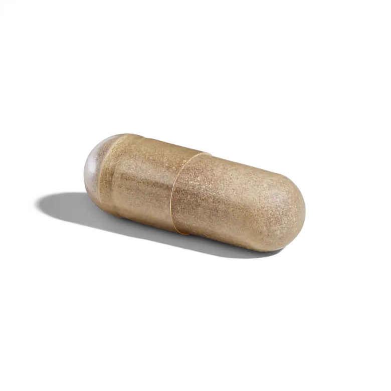 Ester C Plus Vitamine C 500 mg Solgar - pot de 50 gélules