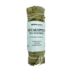 Eucalyptus de Californie Natura square - 1 fagot