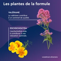 EuphytoseNuit® LP 1,9 mg mélatonine 30 comprimés à libération prolongée - boite de 24,8g