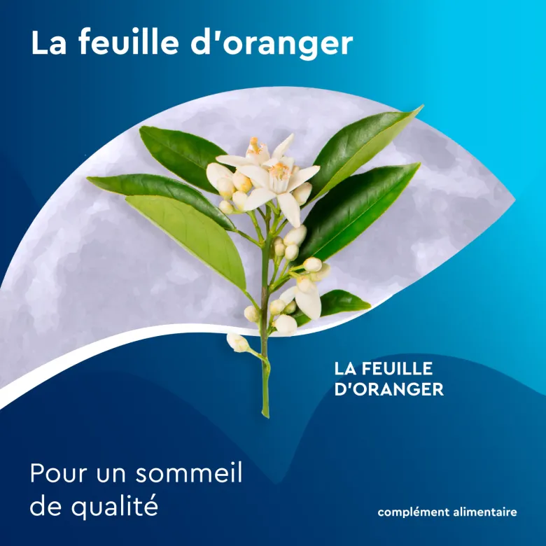 Euphytose Nuit Sommeil Mélatonine et Feuille d'Orange 20 sachets à infuser