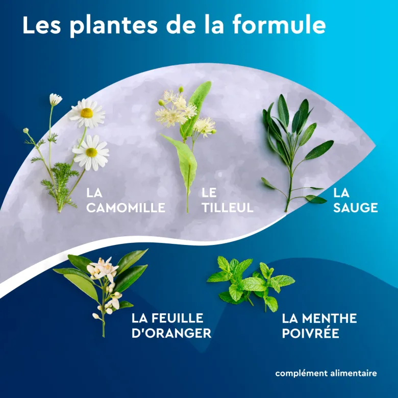 Euphytose Nuit Sommeil Mélatonine et Feuille d'Orange 20 sachets à infuser