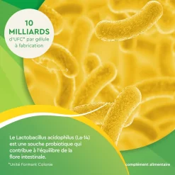EuphytoseStress® Digestion - Stress et confort intestinal - Probiotiques, mélisse, vitamine B2 2x14 comprimés