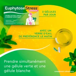 EuphytoseStress® Digestion - Stress et confort intestinal - Probiotiques, mélisse, vitamine B2 2x14 comprimés