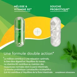 EuphytoseStress® Digestion - Stress et confort intestinal - Probiotiques, mélisse, vitamine B2 2x14 comprimés