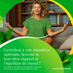 EuphytoseStress® Digestion - Stress et confort intestinal - Probiotiques, mélisse, vitamine B2 2x14 comprimés