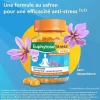 Euphytose Stress Safran gommes mangue ananas Bayer - pot de 30 gommes
